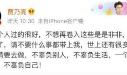 娱乐圈的吃瓜群众评价,揭秘明星幕后真相与八卦风云